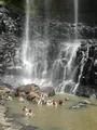 Going for a swim at the bottom of the waterfall