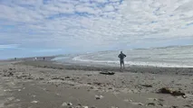 On the hunt for jade