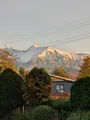 Morning view in Springfield