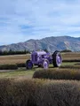 The lavender was already harvested at this time of year, but the farm was still very pretty